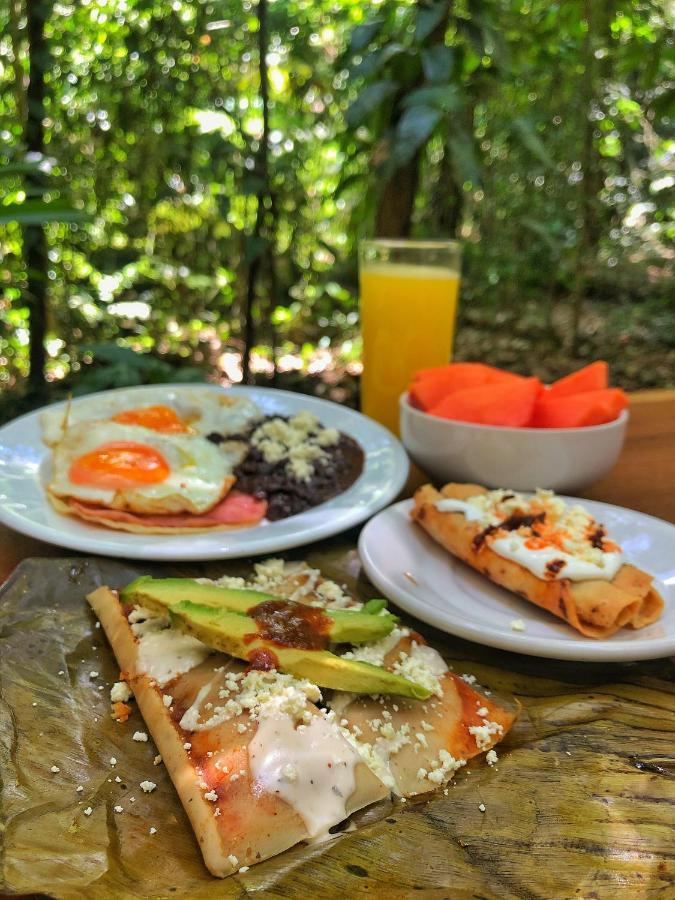 Finca Vallescondido El Caobano ภายนอก รูปภาพ