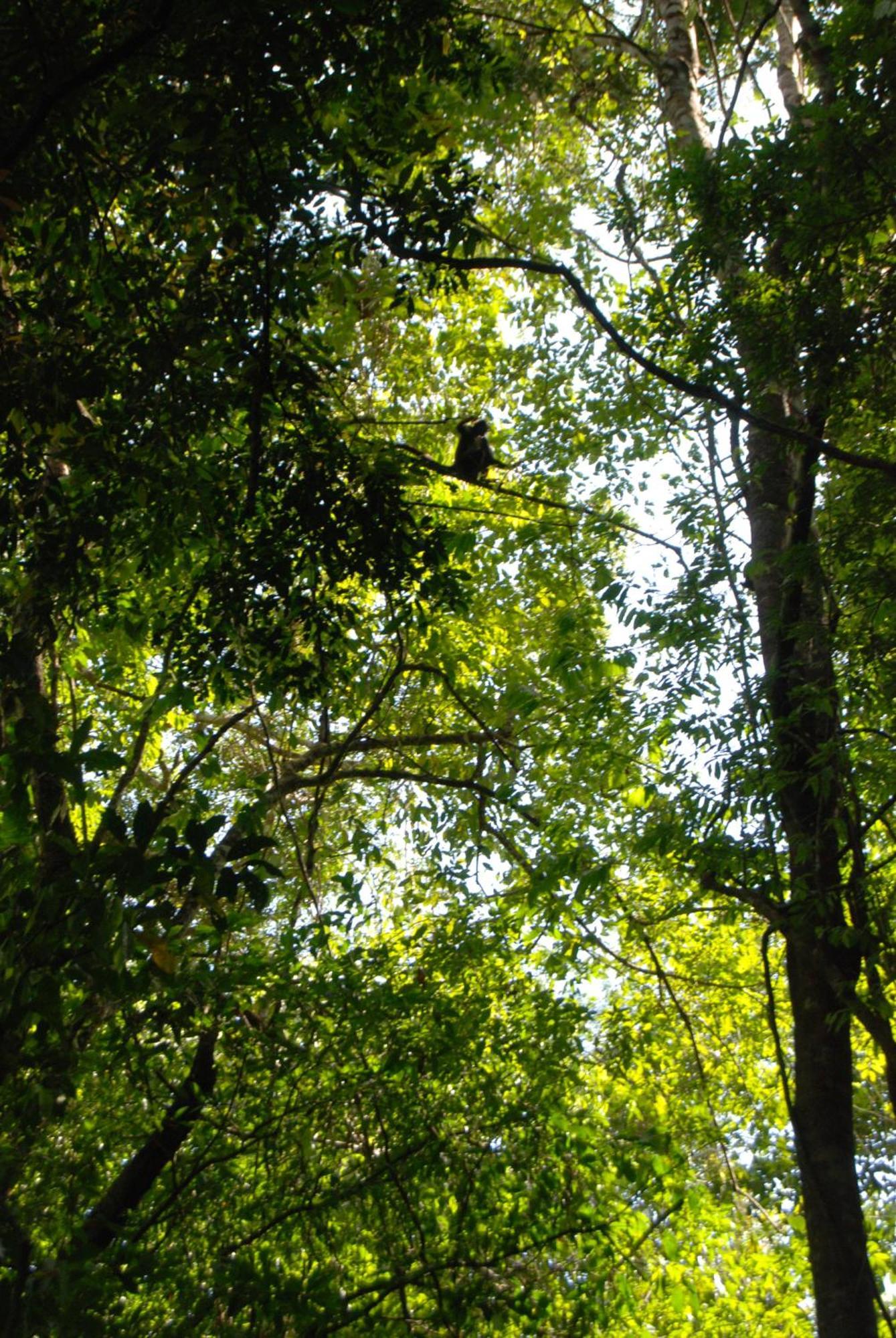 Finca Vallescondido El Caobano ภายนอก รูปภาพ