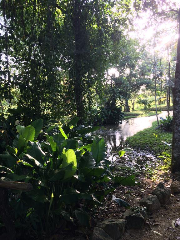 Finca Vallescondido El Caobano ภายนอก รูปภาพ